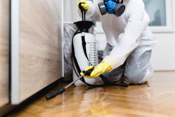 Pest Control for Restaurants in Cortland West, NY