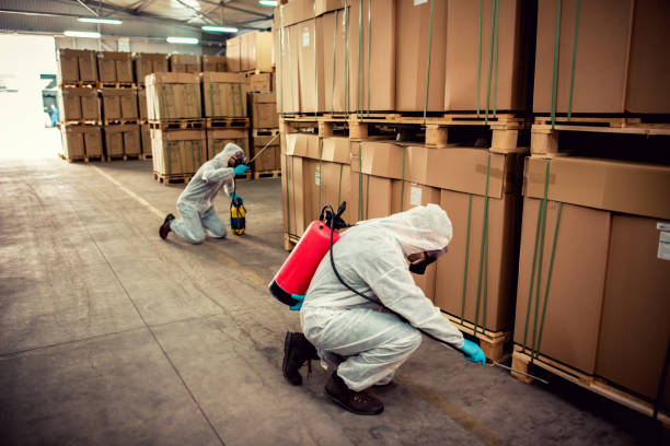 Trusted Cortland West, NY Pest Control Experts