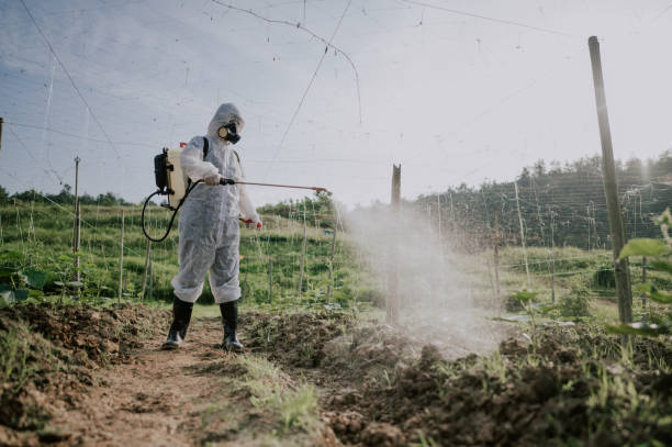Best Affordable Pest Control Services  in Cortland West, NY