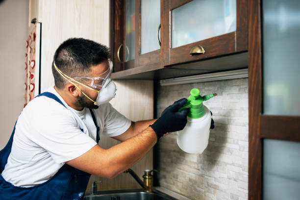 Best Rat Extermination Near Me  in Cortland West, NY