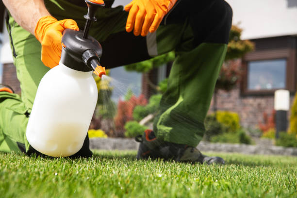 Best Pest Control Near Me in Cortland West, NY