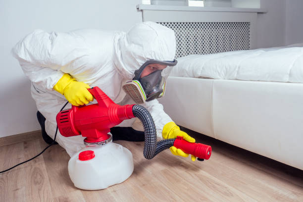 Best Affordable Pest Control Services  in Cortland West, NY