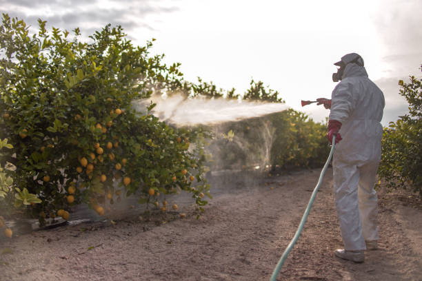 Best Best Pest Control Companies  in Cortland West, NY