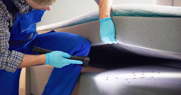 Best Residential Pest Control  in Cortland West, NY