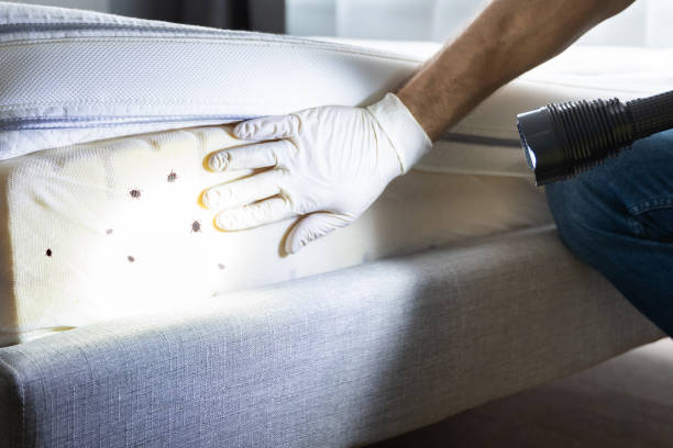 Best Cockroach Control Services  in Cortland West, NY