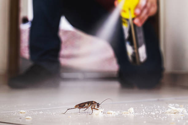 Best Pest Control Near Me  in Cortland West, NY
