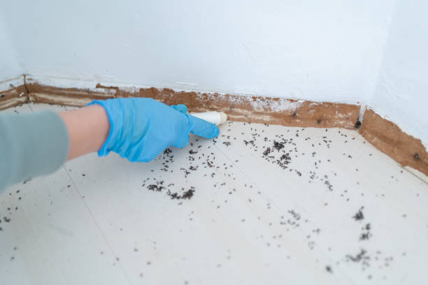 Best Best Pest Control Companies  in Cortland West, NY